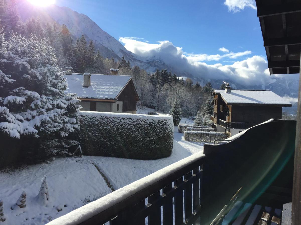 Appartement Cosy Au Pied Du Mtblanc Chamonix Eksteriør billede